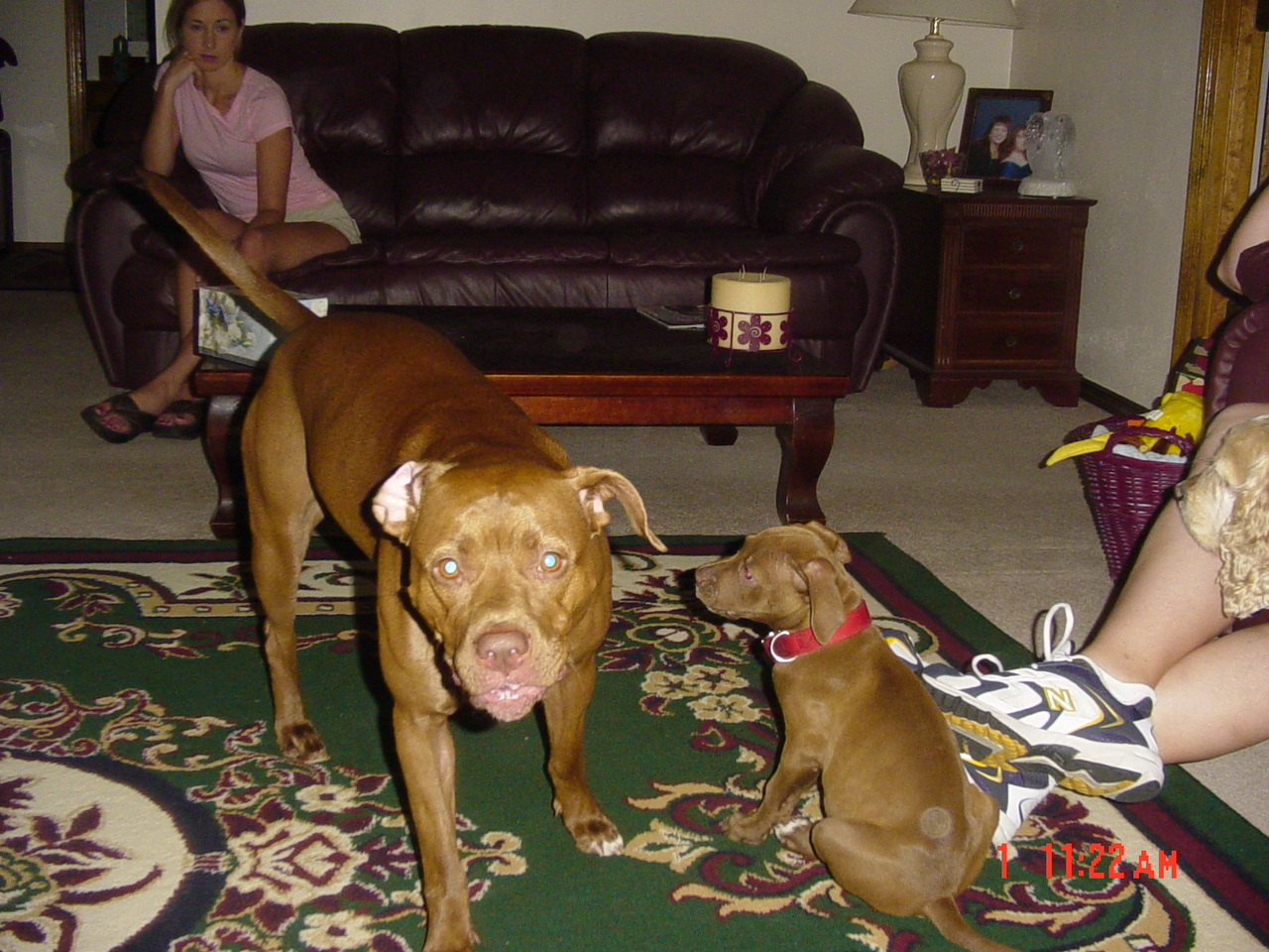 hollyjacksonandesraaustraliaparty019.jpg