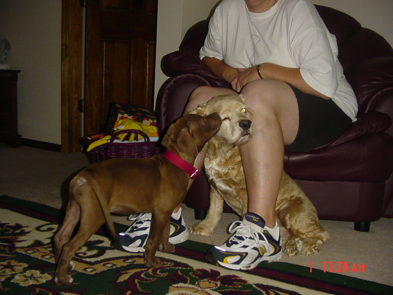 hollyjacksonandesraaustraliaparty022.jpg