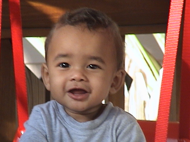 malik4.jpg