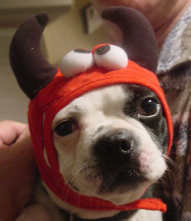 minimeonhalloween.jpg